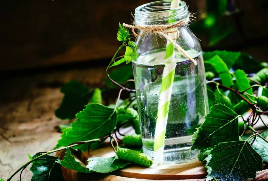 Kuo naudingas beržų sula?